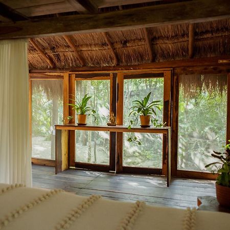 Madre Tierra Eco Habitat Guest House Puerto Morelos Eksteriør bilde