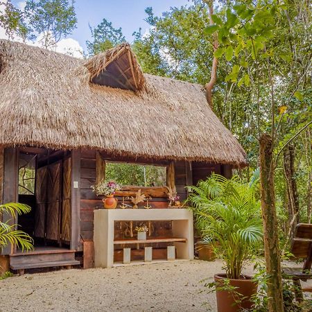 Madre Tierra Eco Habitat Guest House Puerto Morelos Eksteriør bilde