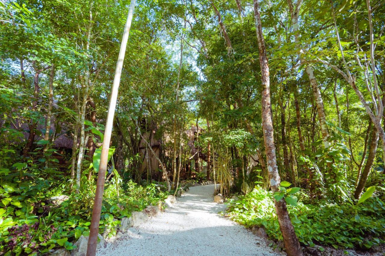 Madre Tierra Eco Habitat Guest House Puerto Morelos Eksteriør bilde