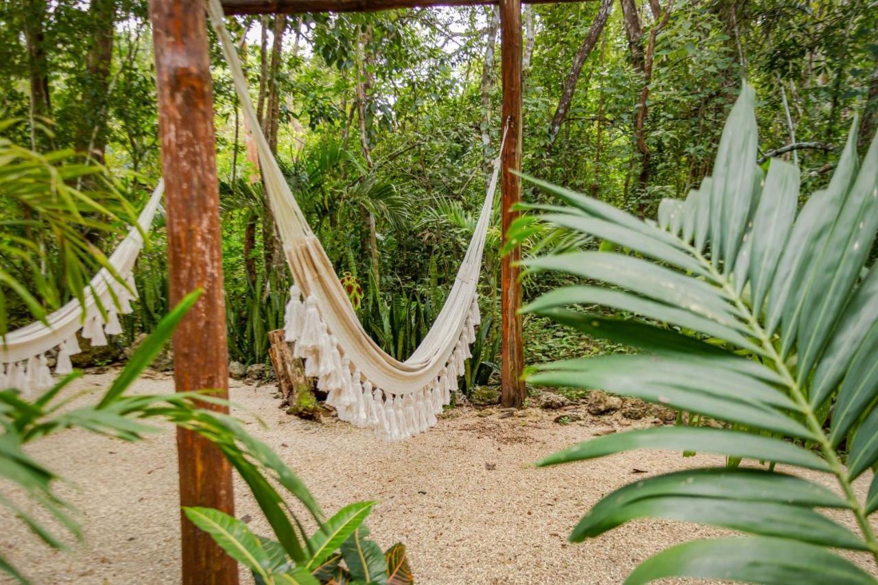 Madre Tierra Eco Habitat Guest House Puerto Morelos Eksteriør bilde