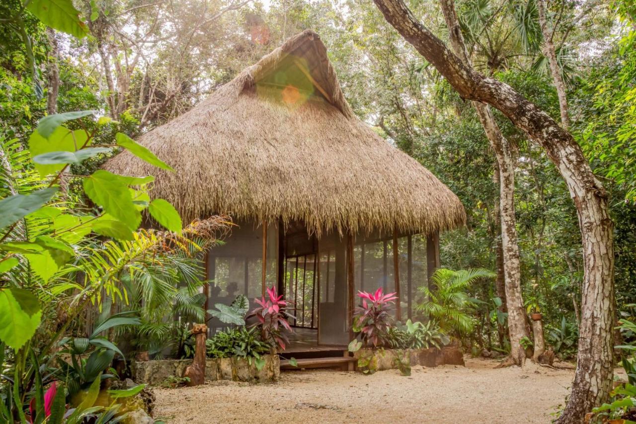Madre Tierra Eco Habitat Guest House Puerto Morelos Eksteriør bilde