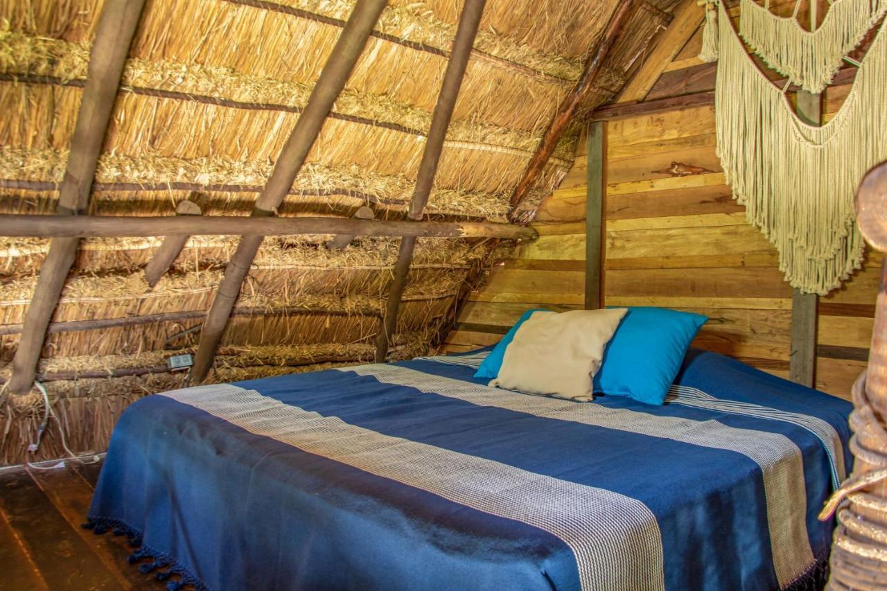 Madre Tierra Eco Habitat Guest House Puerto Morelos Eksteriør bilde