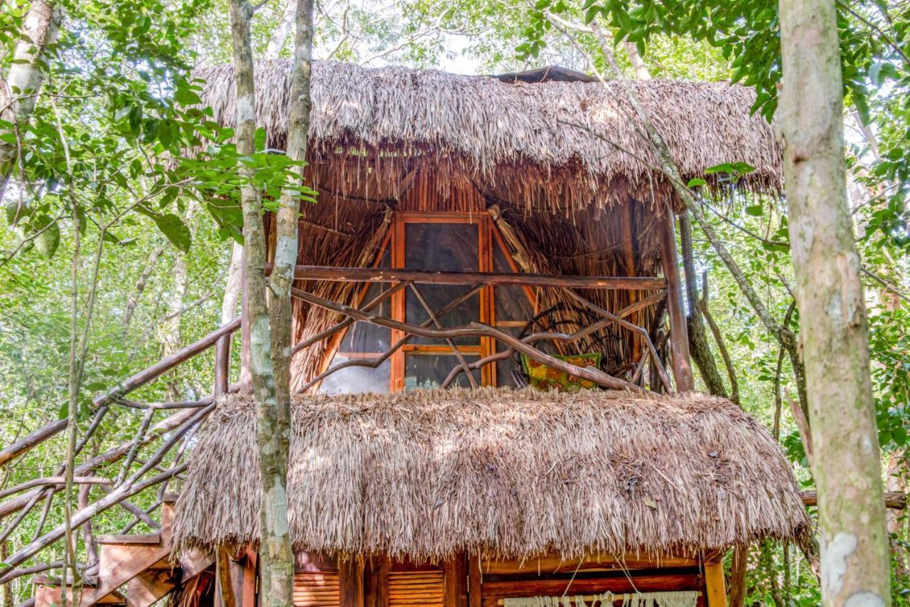 Madre Tierra Eco Habitat Guest House Puerto Morelos Eksteriør bilde