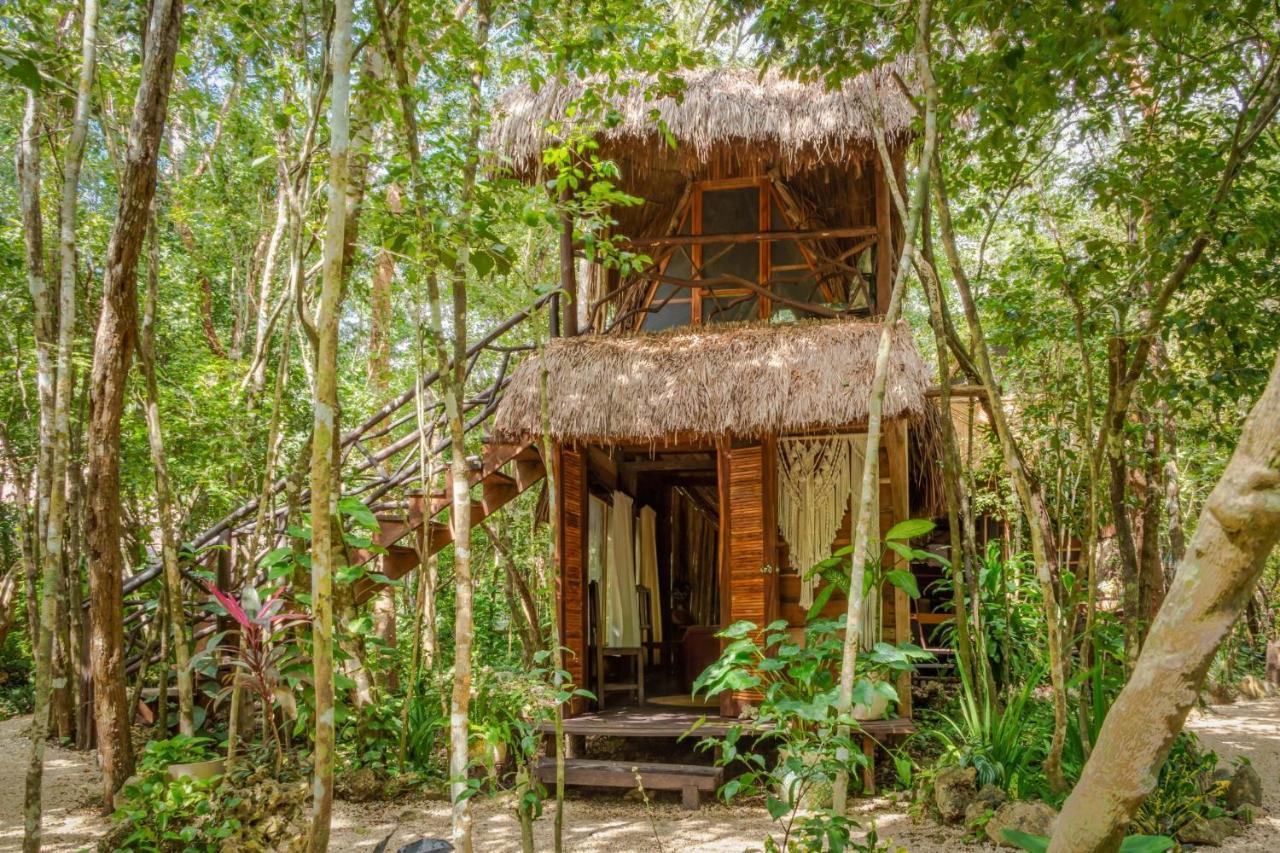 Madre Tierra Eco Habitat Guest House Puerto Morelos Eksteriør bilde