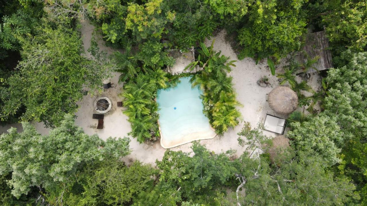 Madre Tierra Eco Habitat Guest House Puerto Morelos Eksteriør bilde