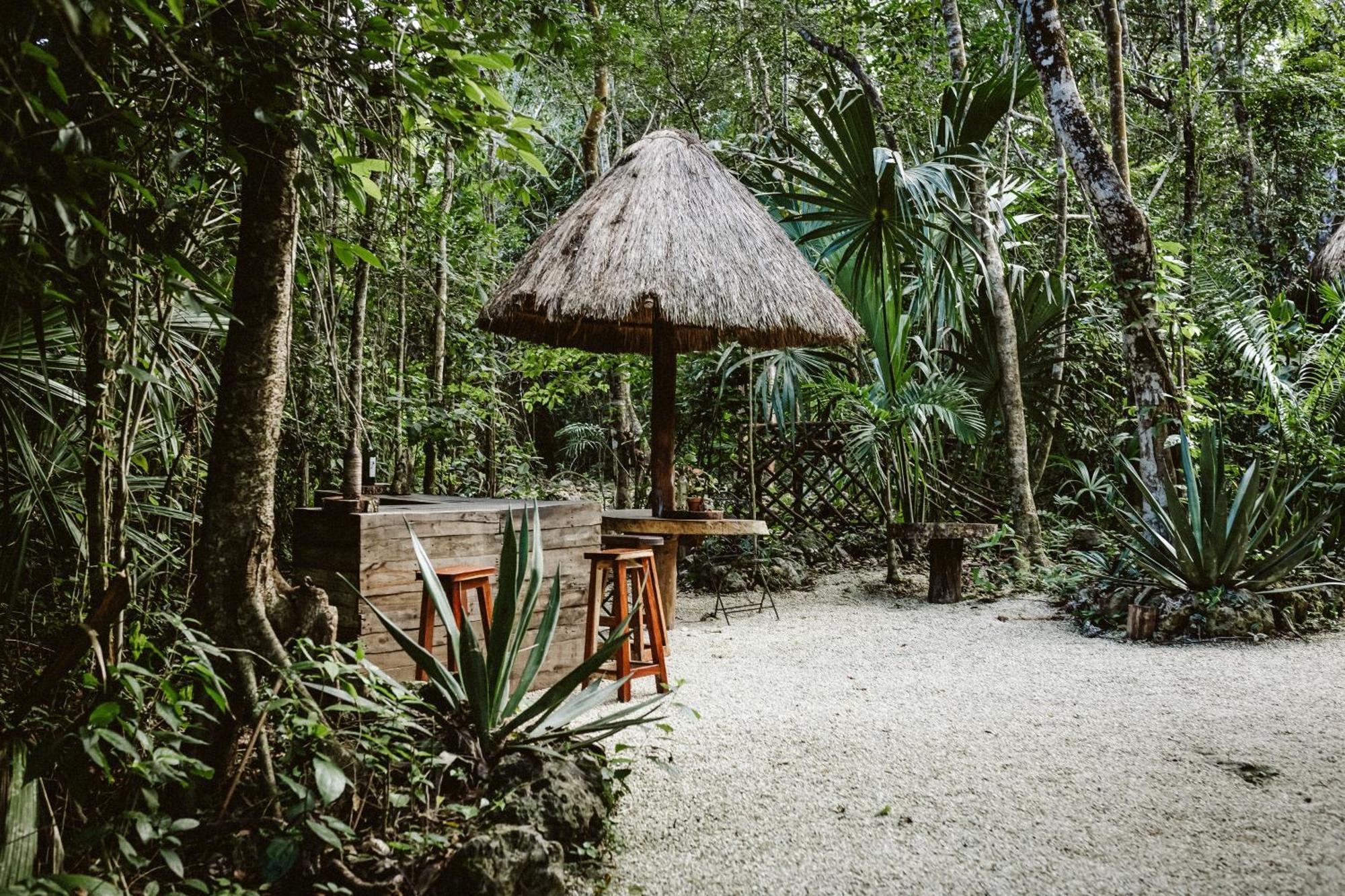 Madre Tierra Eco Habitat Guest House Puerto Morelos Eksteriør bilde