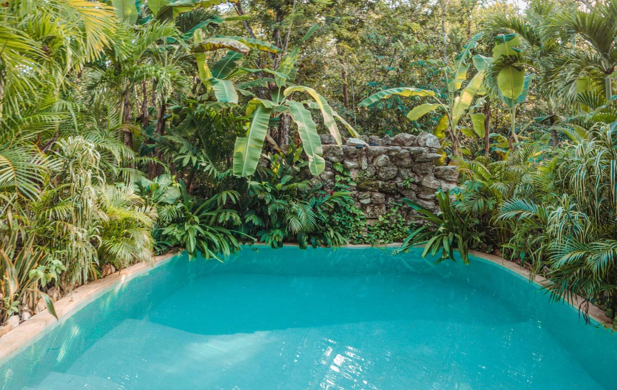 Madre Tierra Eco Habitat Guest House Puerto Morelos Eksteriør bilde