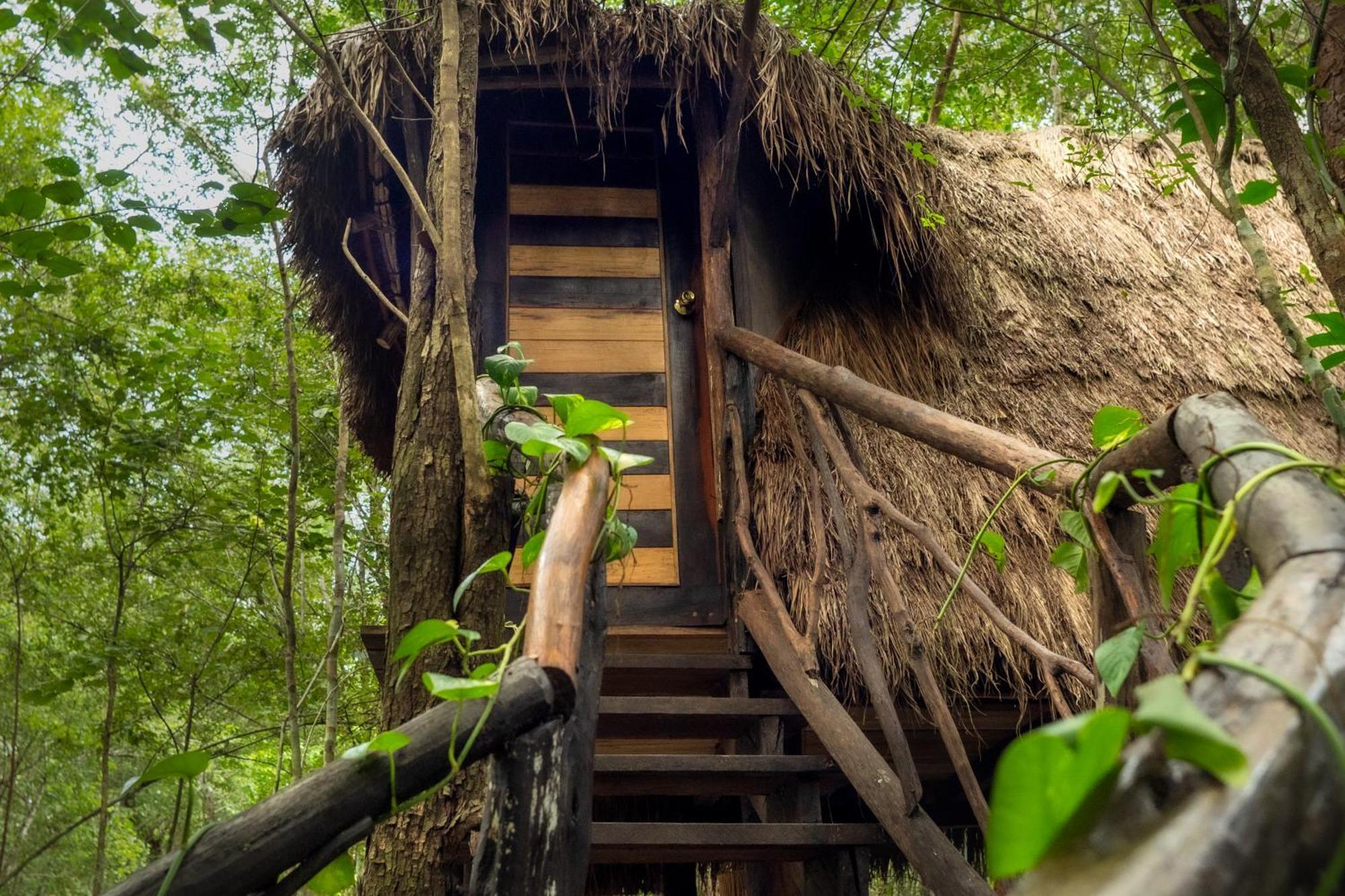 Madre Tierra Eco Habitat Guest House Puerto Morelos Eksteriør bilde